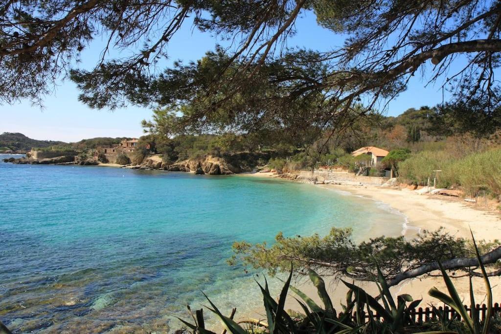 A 500 M Bord De Mer Giens Hyeres Exterior photo